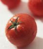 Lycopene -Tomato Extract